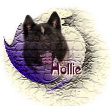 Hollie's Link
