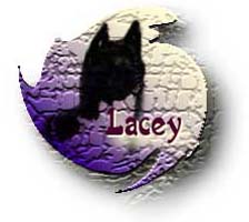 Lacey's Page