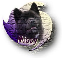 Missy's Link