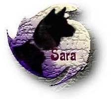 Sara's Page