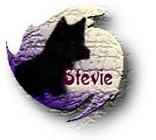 Stevie's Page
