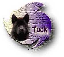 Tuck's Page