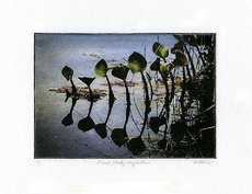 Pond Study - Reflections print