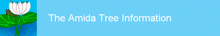 The Amida Tree Information