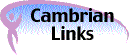 Cambrian Links