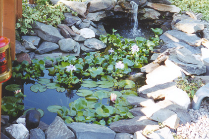 garden1.jpg (120779 bytes)