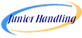 jr handling.gif (3364 bytes)