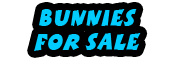 Bunnies For Sale