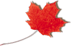 Canada Flag for Swedish Research Web site