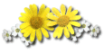 flower-Daisy.gif (4692 bytes)