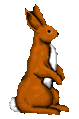 bunny1.gif (4126 bytes)