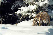 Snow Shoes