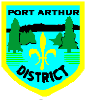 Old District Badge