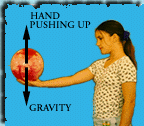 [girl holding ball]
