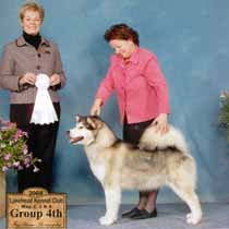 Brooke, Group 4th