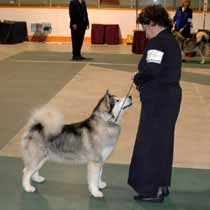 Brooke, National Specialty 2007