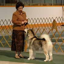 Brooke, National Specialty 2007