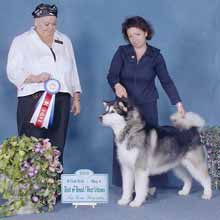Haley, Specialty Best of Breed Haley, Specialty Best of Breed