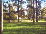 Our tree covered park